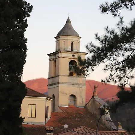 Monti