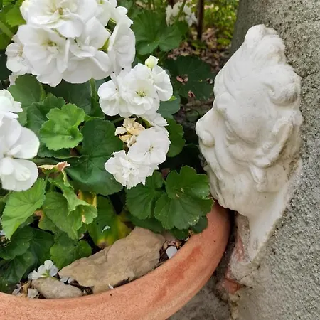 Monti Bed & Breakfast